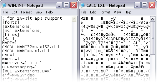 Difference between Text File and Binary File