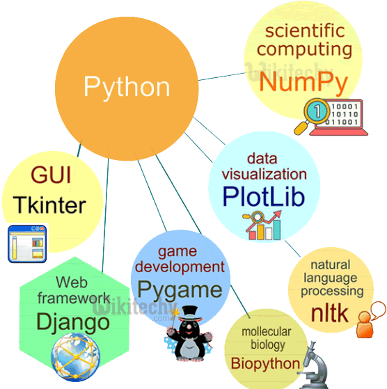 What is Python used for