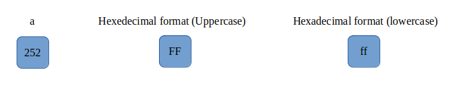 Diagramatic representation of hexadecimal format