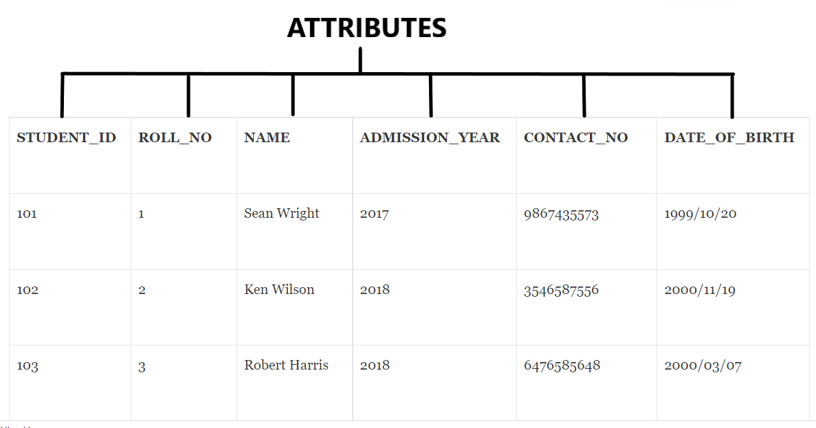 Difference between entity and attribute