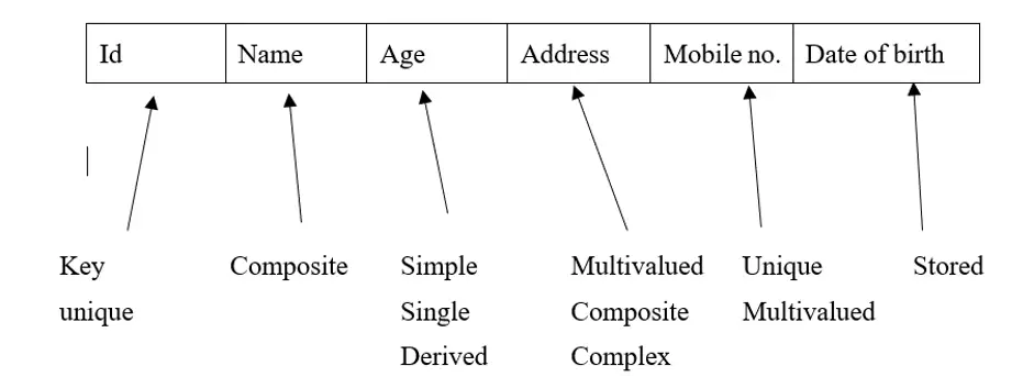 Different Types of Attributes in DBMS