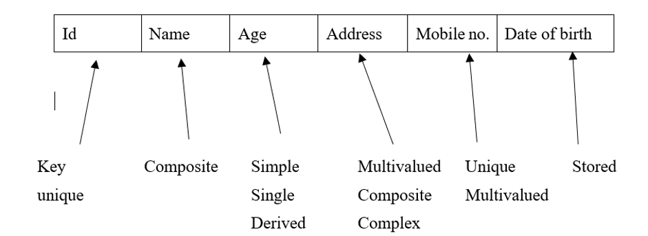 Different Types of Attributes in DBMS