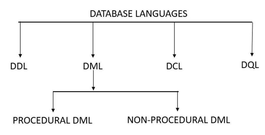 Database Languages in DBMS