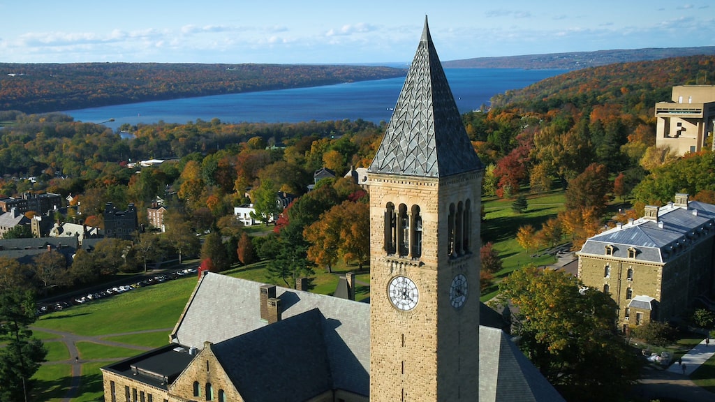 Cornell University