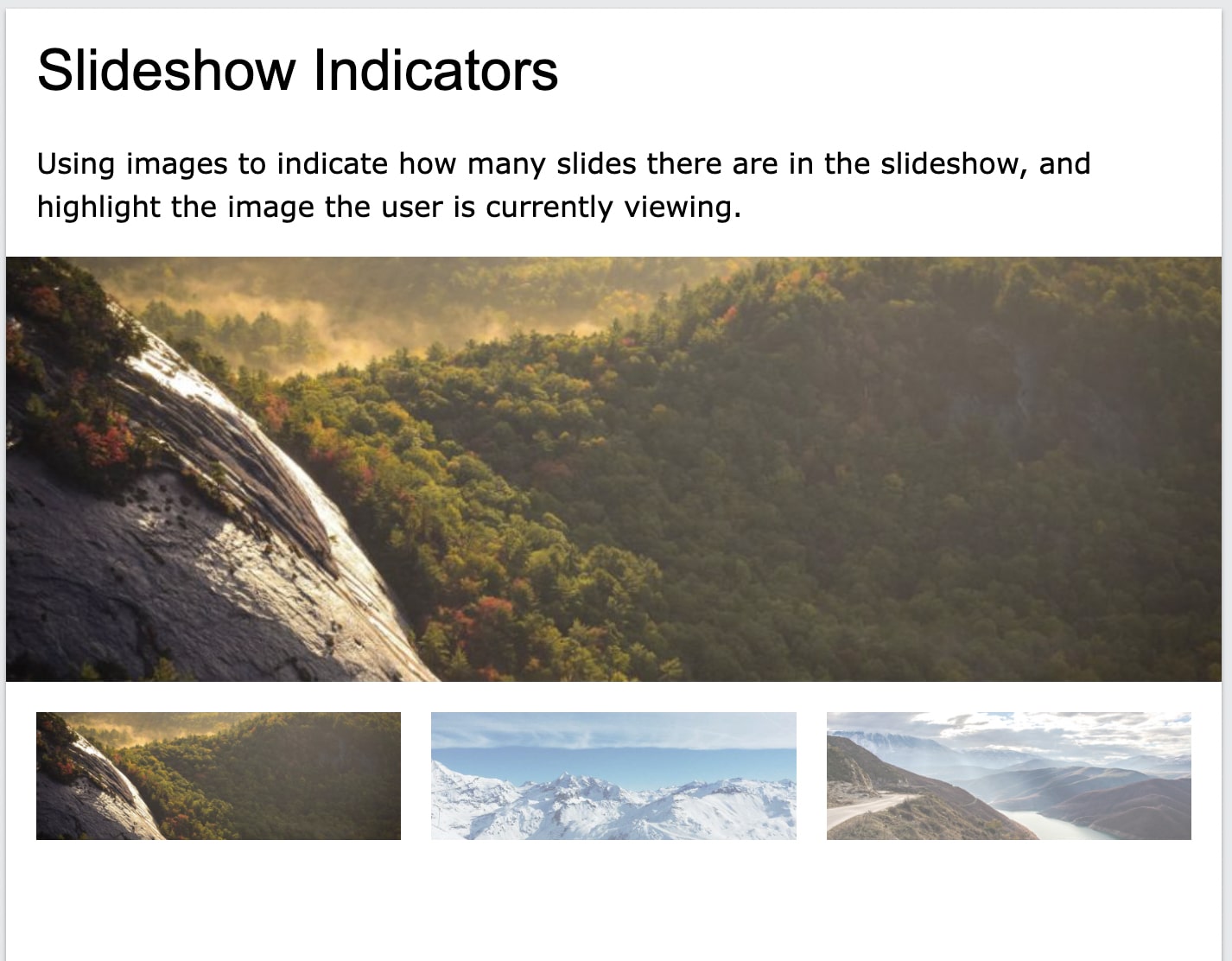 Slideshow Indicators
